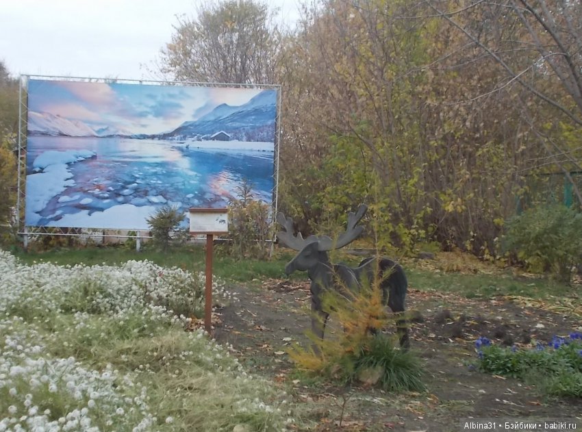 Городские зарисовки. Осень (фото 4)