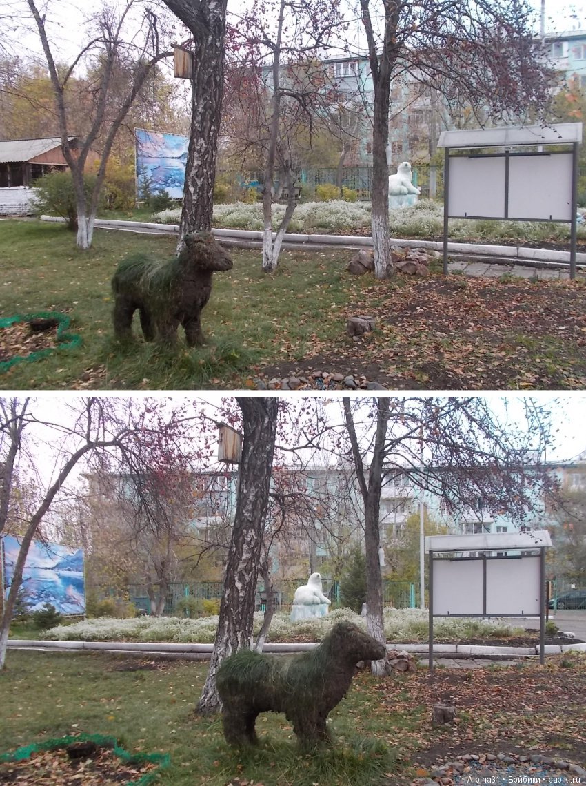 Городские зарисовки. Осень (фото 6)