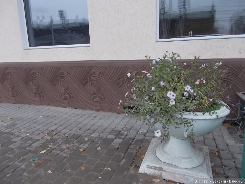 Городские зарисовки. Осень