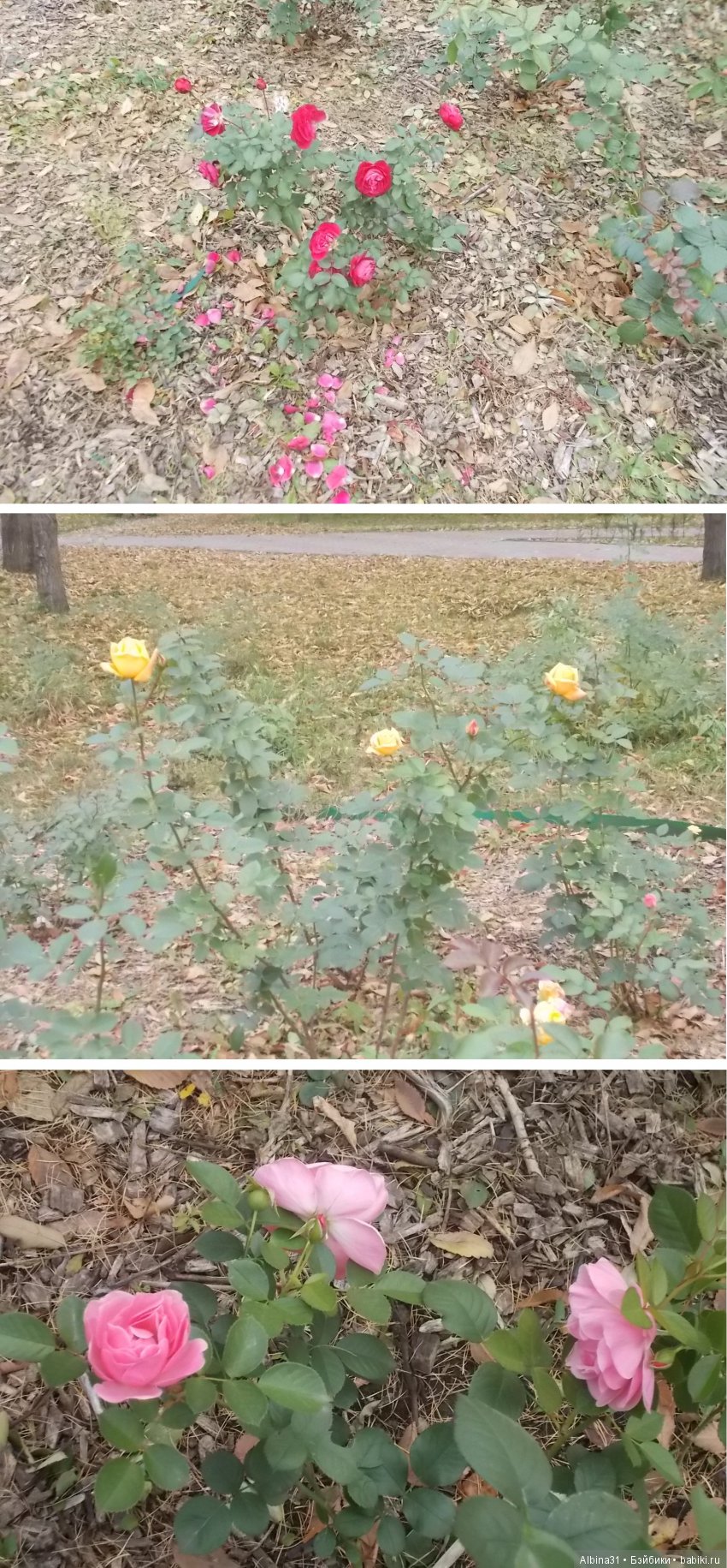 Городские зарисовки. Осень