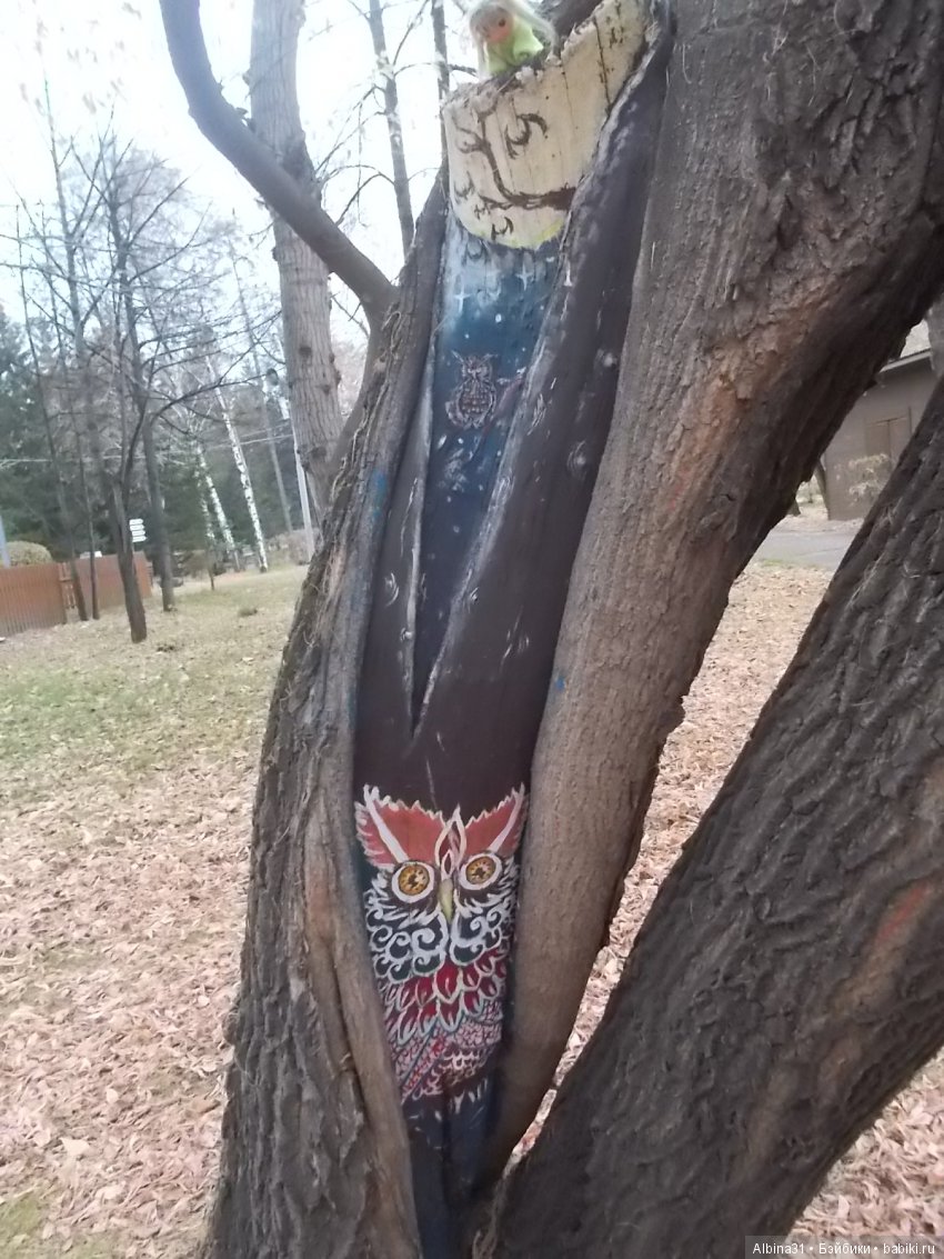 Городские зарисовки. Осень