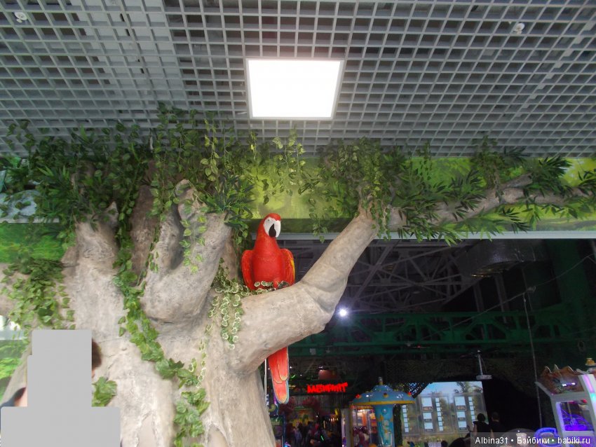 Иркутск. Продолжение — Туризм и путешествия: фотоотчеты из поездок