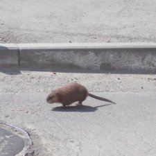 Иркутск. Продолжение