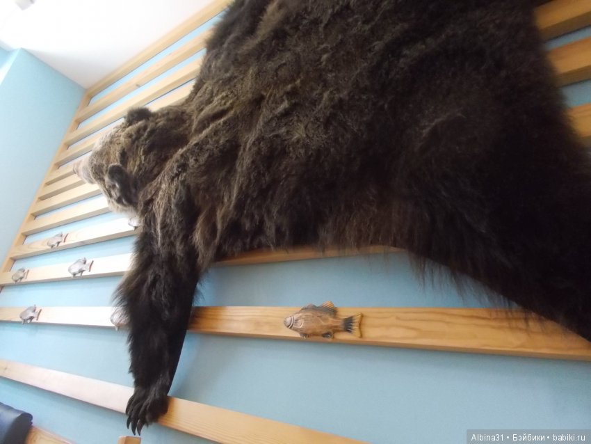 Иркутск. День третий — Туризм и путешествия: фотоотчеты из поездок (фото 10)