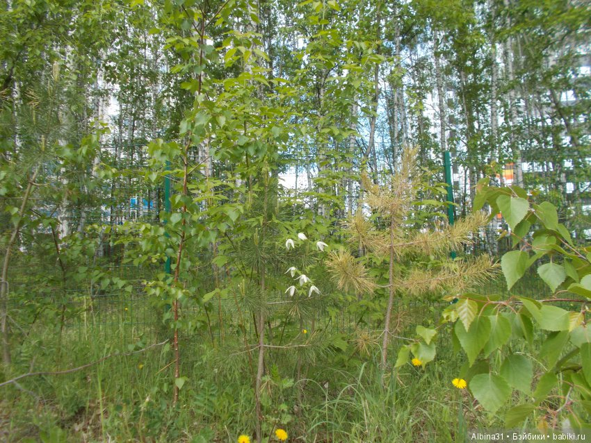 Просто так и Городские зарисовки, июнь 2019 год (фото 3)