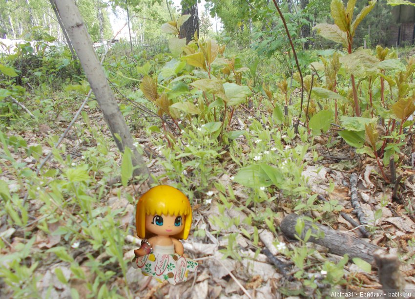 Просто так и Городские зарисовки, июнь 2019 год