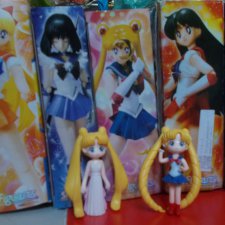 Пополнение лунных воительниц 