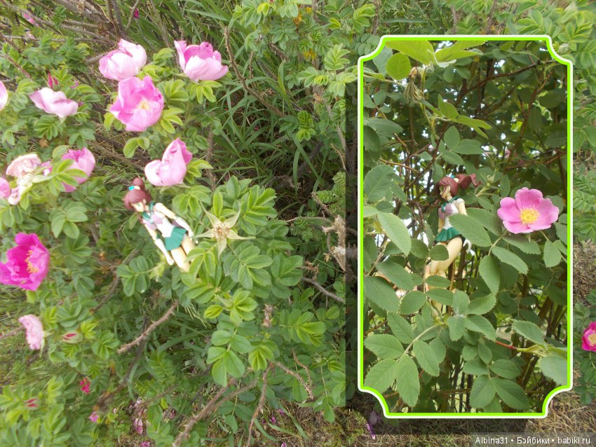 Пополнение лунных воительниц (фото 6)