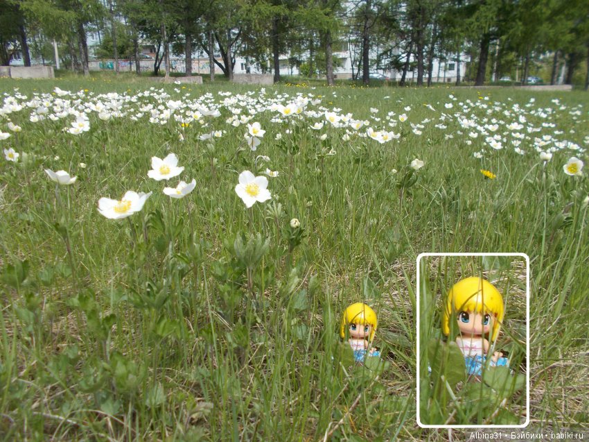 Просто так и Городские зарисовки, июнь 2019 год