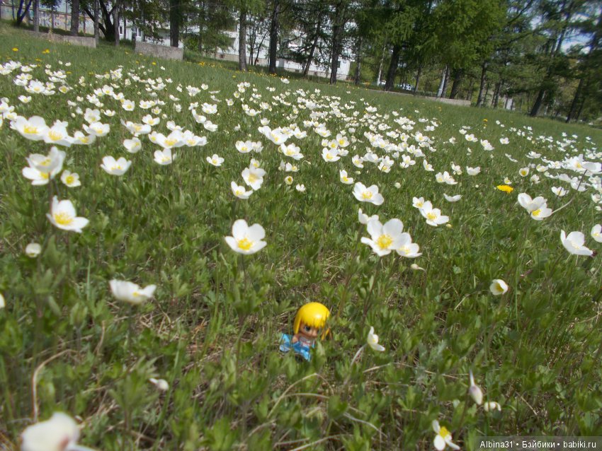 Просто так и Городские зарисовки, июнь 2019 год