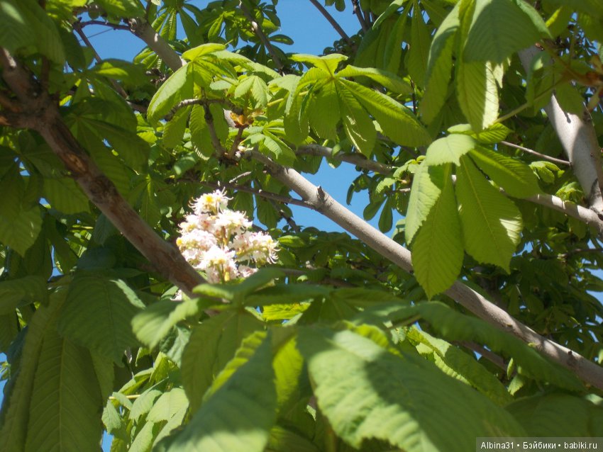 Просто так и Городские зарисовки, июнь 2019 год