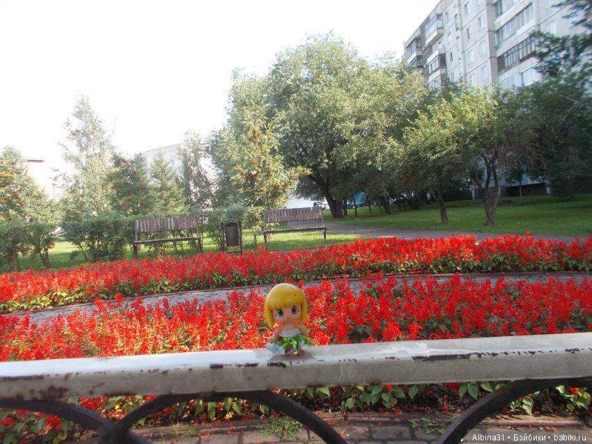 Городские зарисовки... Осень 2019 (фото 3)