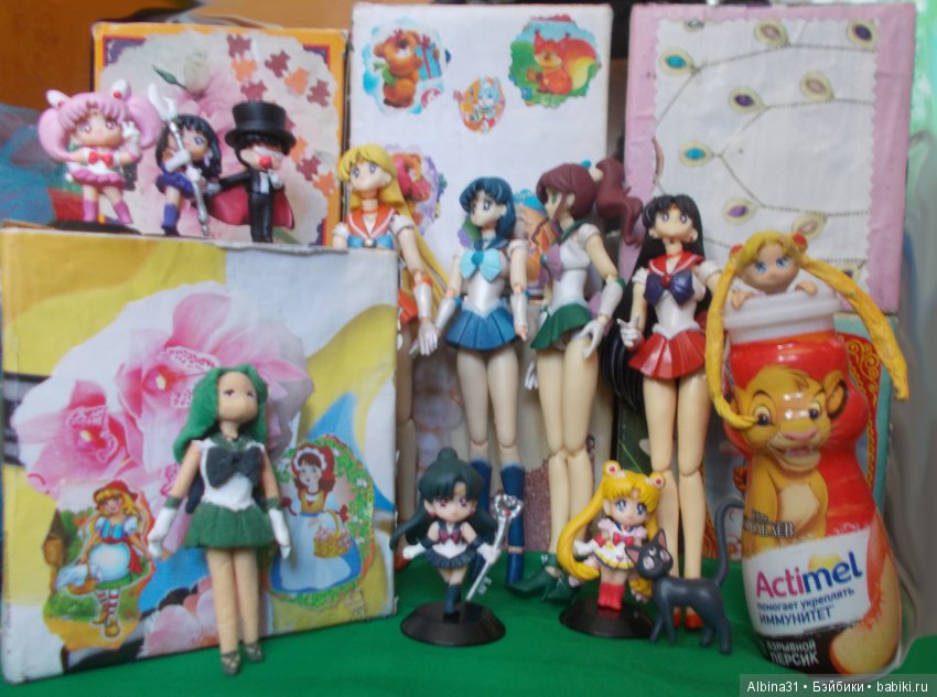 Последняя новенькая воительница