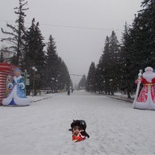Айда в парк