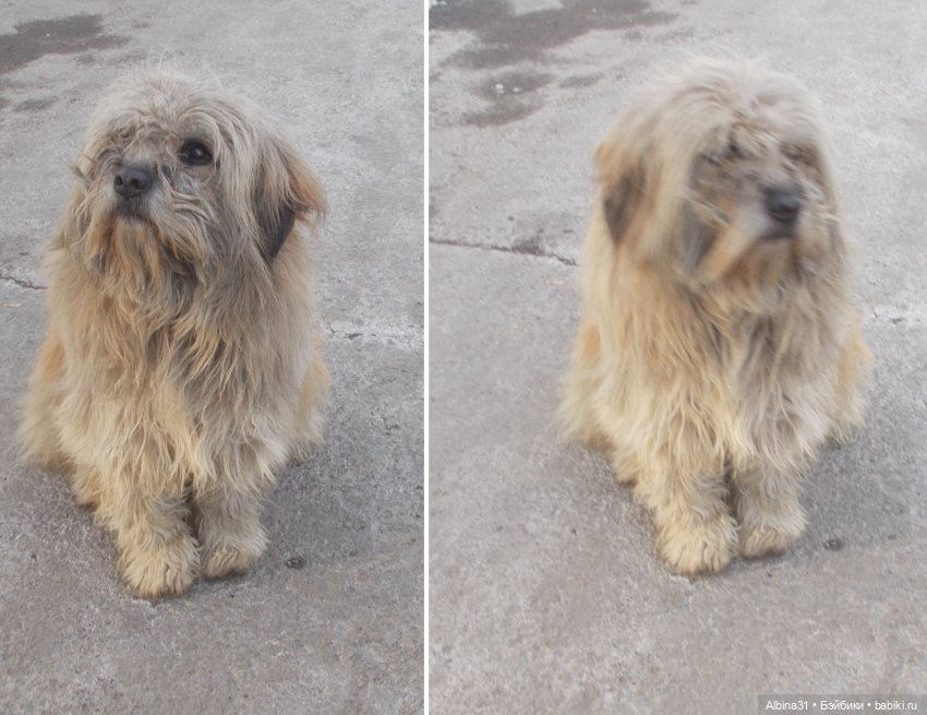 Иркутск в марте — Туризм и путешествия: фотоотчеты из поездок