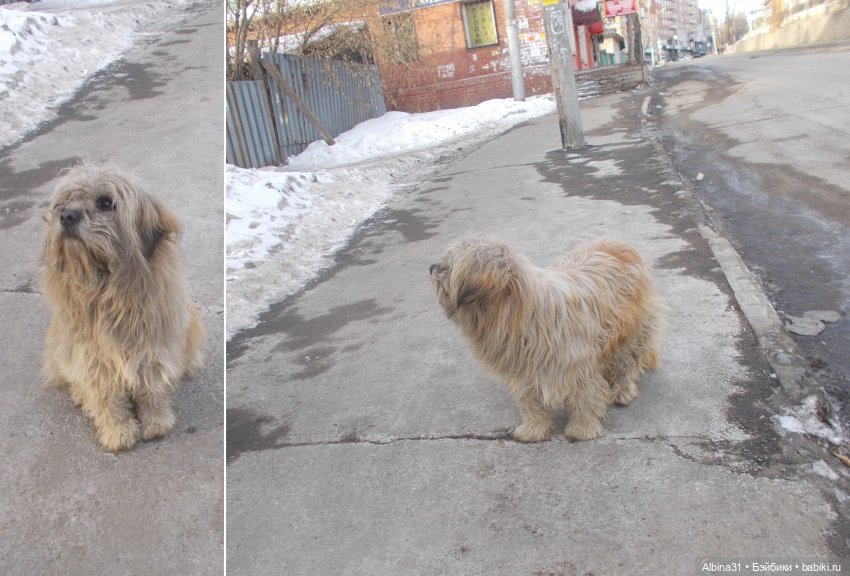 Иркутск в марте — Туризм и путешествия: фотоотчеты из поездок (фото 2)