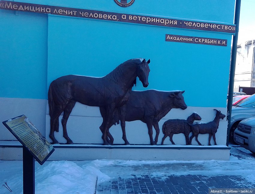 Иркутск, март 2020 — Туризм и путешествия: фотоотчеты из поездок