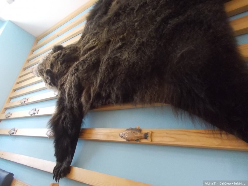 Прогулки по Иркутску — Туризм и путешествия: фотоотчеты из поездок (фото 5)