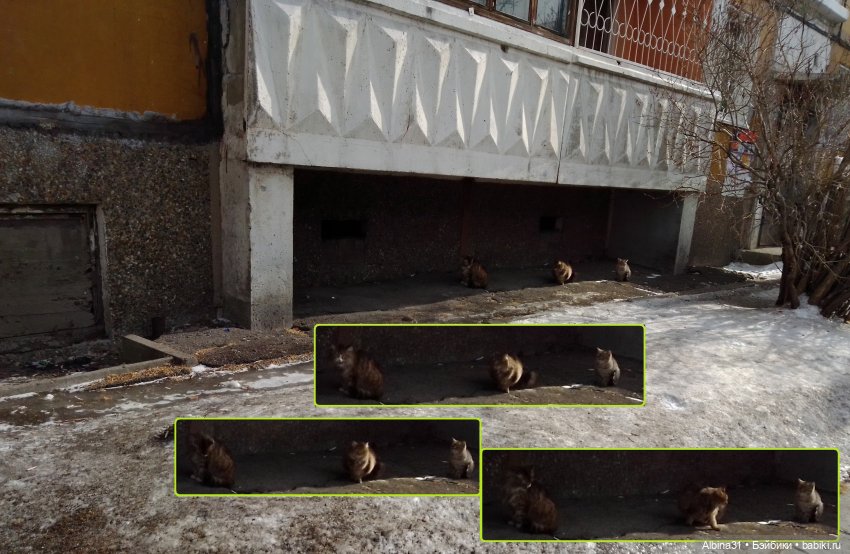 Иркутск, март 2020 (окончание)