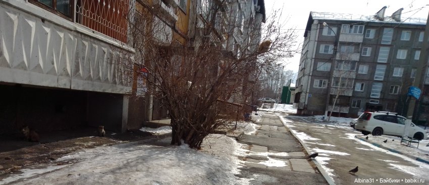 Иркутск, март 2020 (окончание)