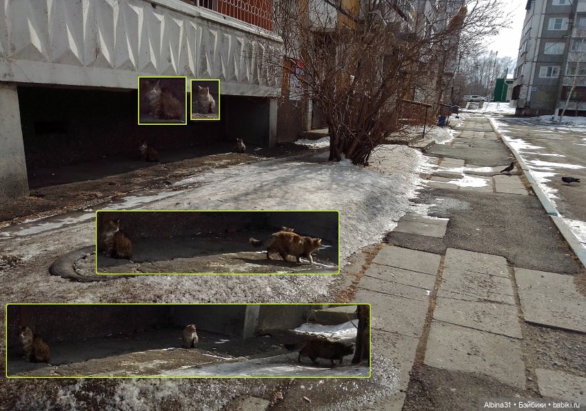 Иркутск, март 2020 (окончание)