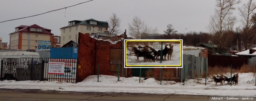 Иркутск, март 2020 (окончание)