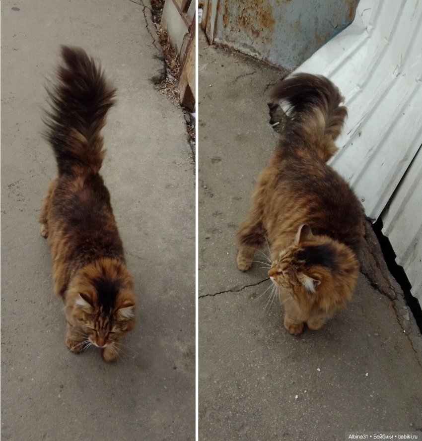 Иркутск, март 2020 (окончание)