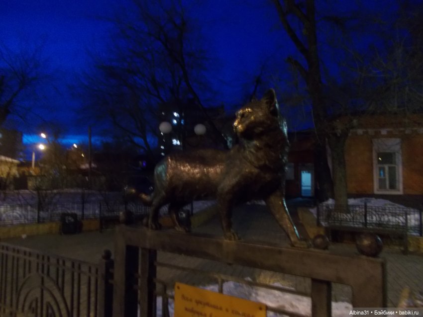 Иркутск, март 2020 (окончание)