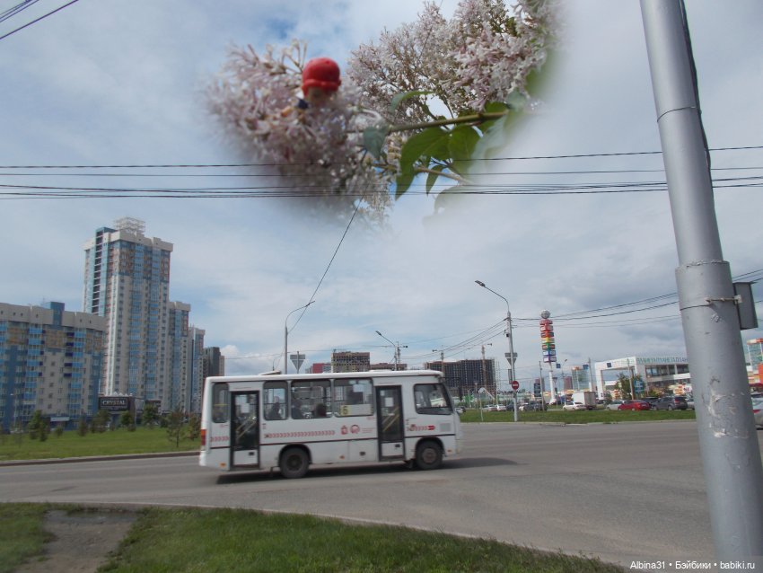 Просто так, прогулка, новенькие