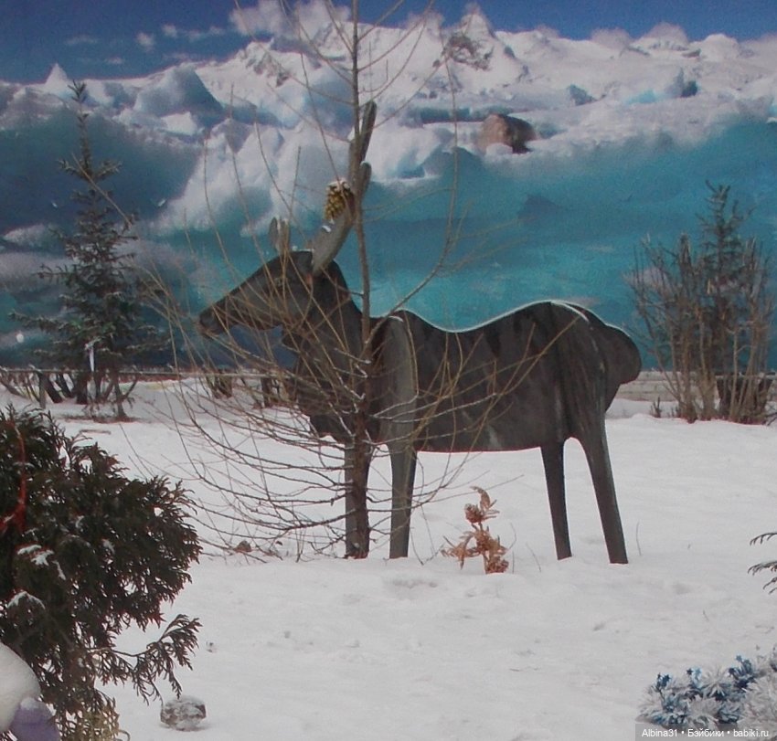 Городские зарисовки... Это было зимой (фото 6)