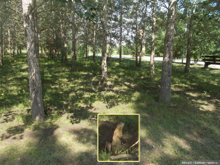Просто так, куклы и городские зарисовки. Июль