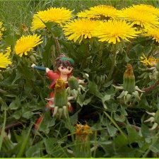 Разные персонажи из разных мест.