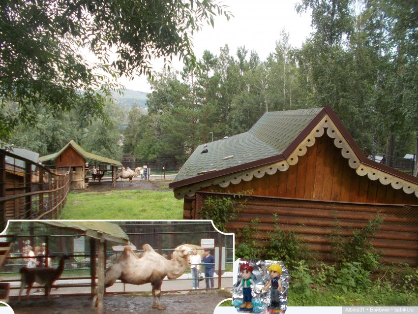 Звери, птицы и цветы — Игровые куклы разных производителей (Разное): редкие бренды