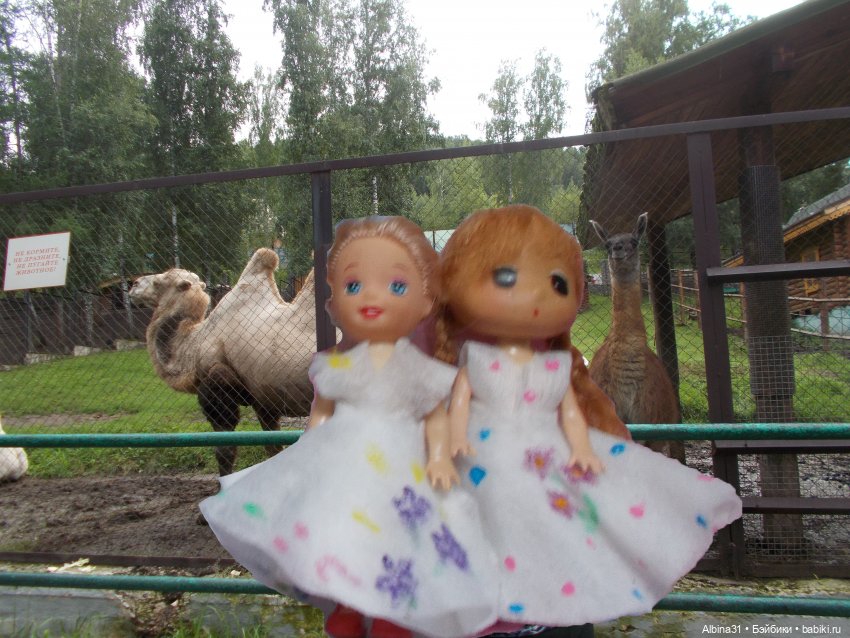 Звери, птицы и цветы — Игровые куклы разных производителей (Разное): редкие бренды