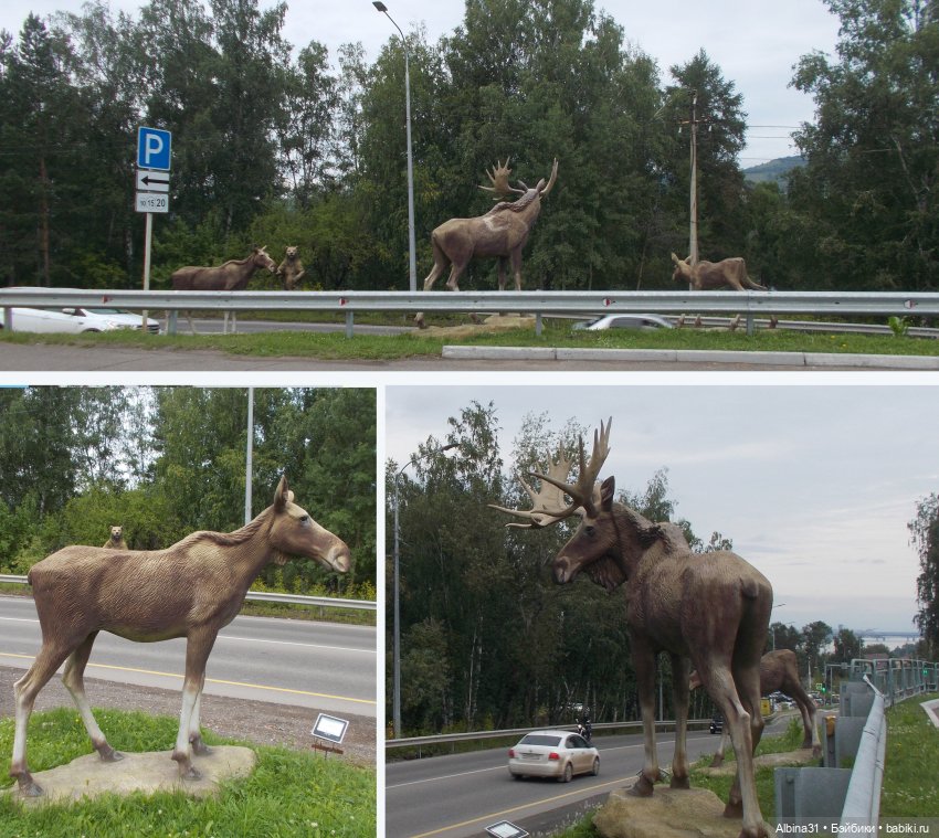 Звери, птицы и цветы — Игровые куклы разных производителей (Разное): редкие бренды (фото 5)