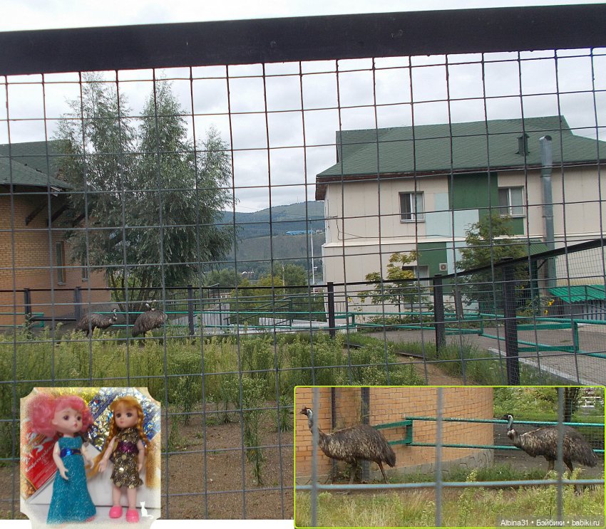 Звери, птицы и цветы — Игровые куклы разных производителей (Разное): редкие бренды