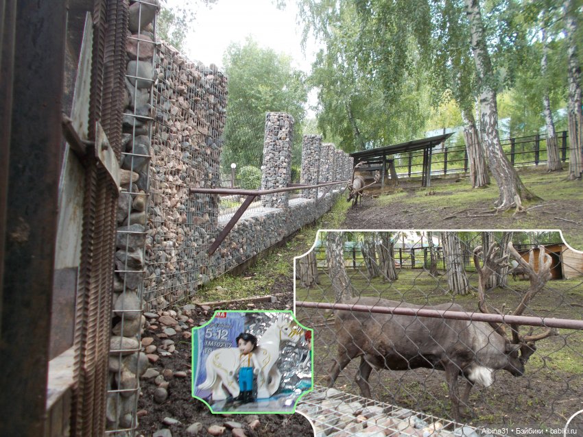 Звери, птицы и цветы — Игровые куклы разных производителей (Разное): редкие бренды