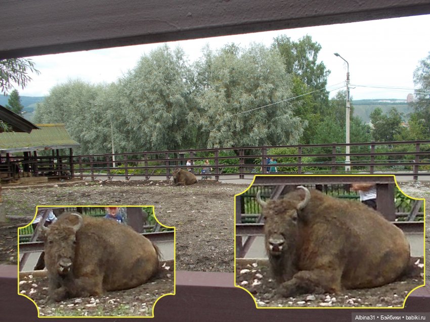 Звери, птицы и цветы — Игровые куклы разных производителей (Разное): редкие бренды