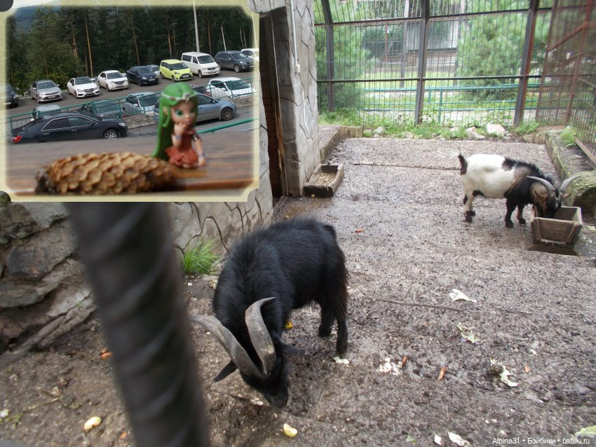 Звери, птицы и цветы — Игровые куклы разных производителей (Разное): редкие бренды