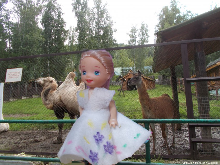 Звери, птицы и цветы — Игровые куклы разных производителей (Разное): редкие бренды