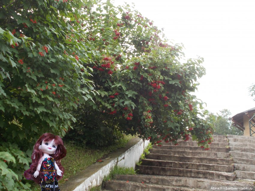 Звери, птицы и цветы — Игровые куклы разных производителей (Разное): редкие бренды