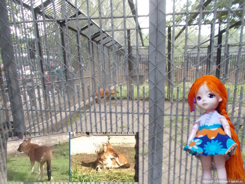 Звери, птицы и цветы — Игровые куклы разных производителей (Разное): редкие бренды