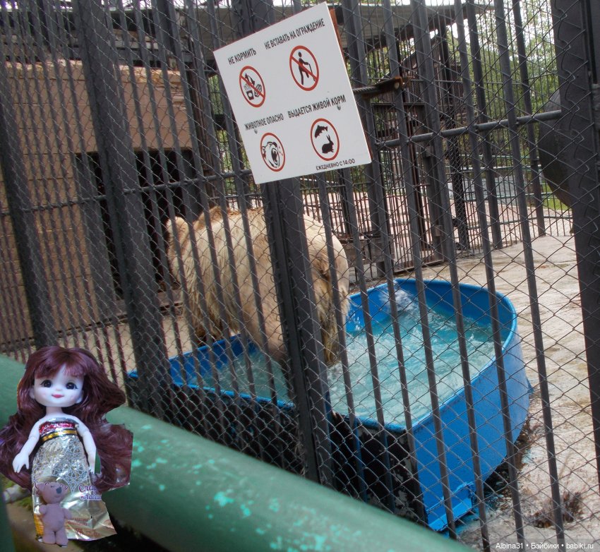 Звери, птицы и цветы — Игровые куклы разных производителей (Разное): редкие бренды