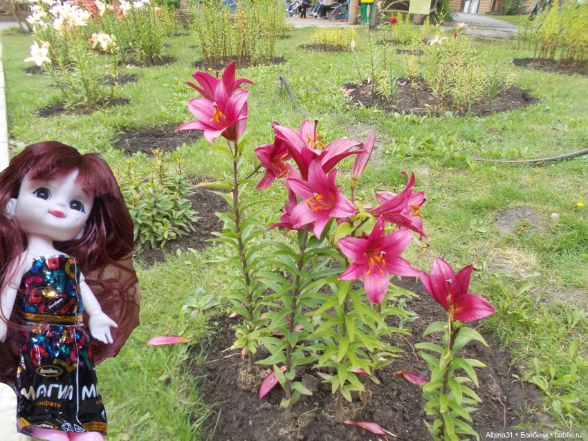 Звери, птицы и цветы — Игровые куклы разных производителей (Разное): редкие бренды