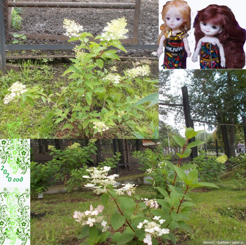 Звери, птицы и цветы — Игровые куклы разных производителей (Разное): редкие бренды