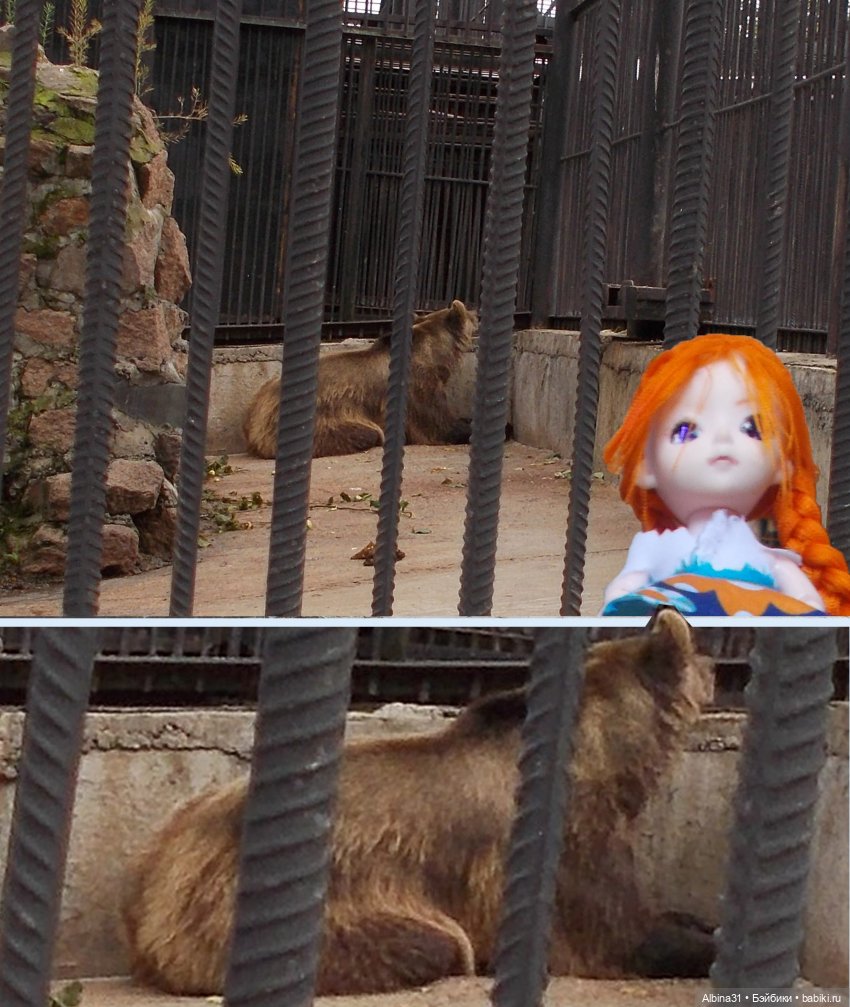 Звери, птицы и цветы — Игровые куклы разных производителей (Разное): редкие бренды