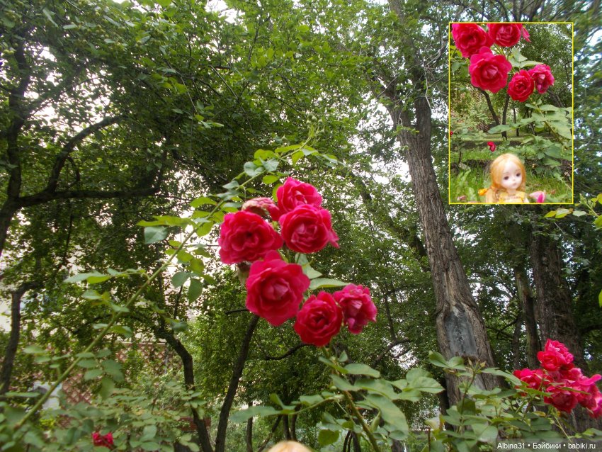 Звери, птицы и цветы — Игровые куклы разных производителей (Разное): редкие бренды