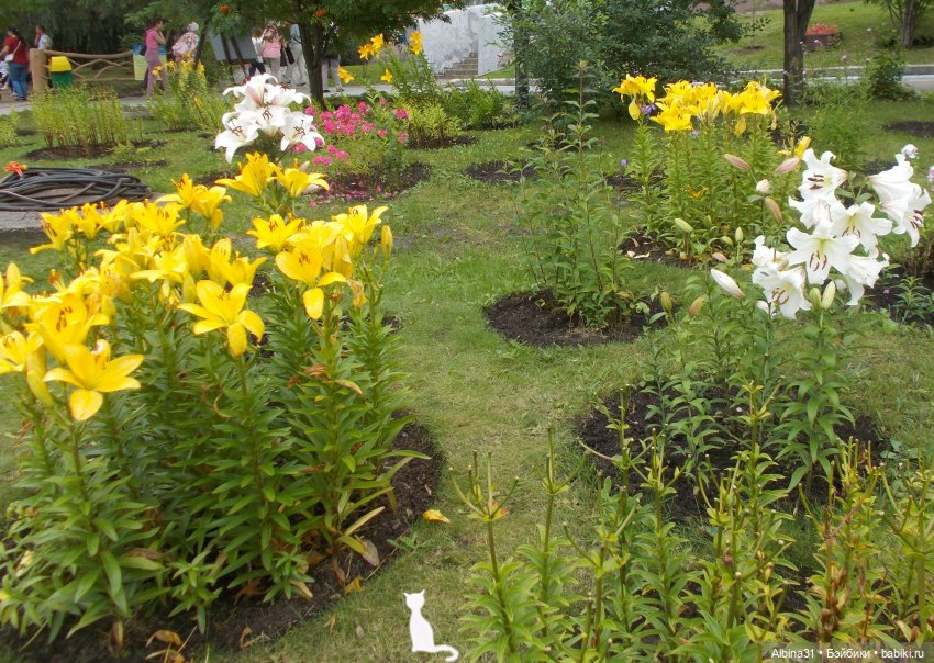 Звери, птицы и цветы — Игровые куклы разных производителей (Разное): редкие бренды