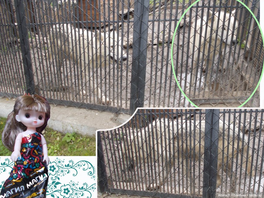 Звери, птицы и цветы — Игровые куклы разных производителей (Разное): редкие бренды