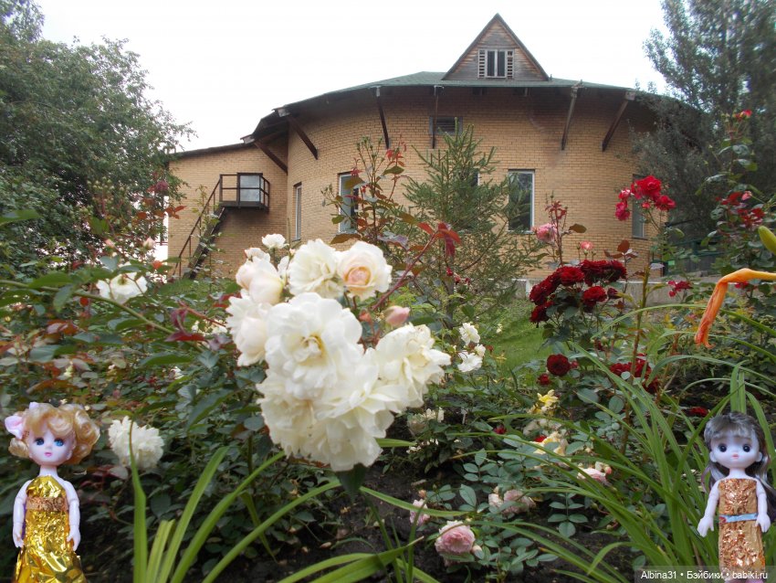 Звери, птицы и цветы — Игровые куклы разных производителей (Разное): редкие бренды